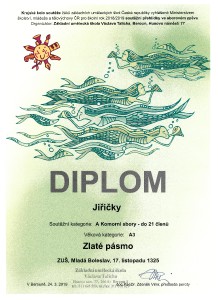 diplom-2019_jiricky.jpg