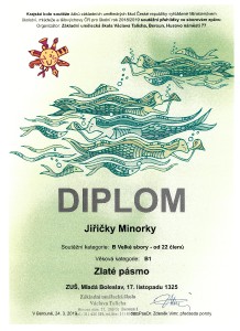 diplom-2019_minorky.jpeg